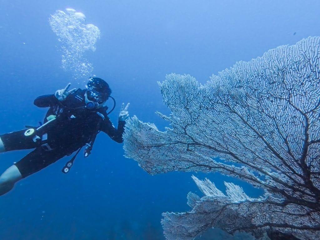 Redang Beach Resort Scuba Diving