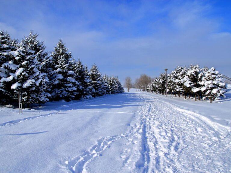 Thing To Do After Club Med Hokkaido - Winter Scene