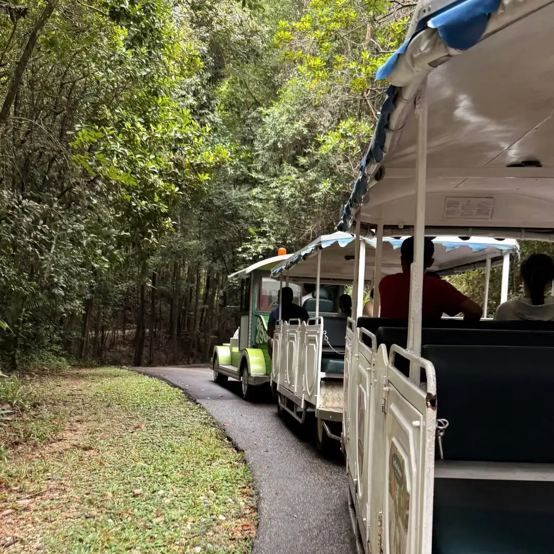 Club Med Cherating Jungle Train
